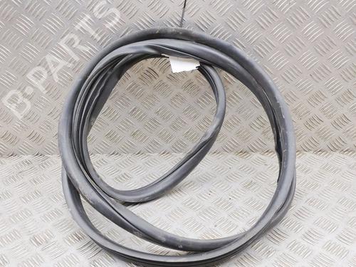 Gummiliste FORD RANGER (TKE) 3.2 TDCi 4x4 | BP39205092C142 - Image 4