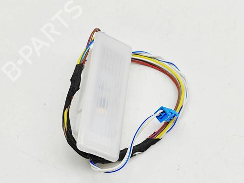 Interior roof light BMW X7 (G07) xDrive 40 i Mild Hybrid | BP32269620I8