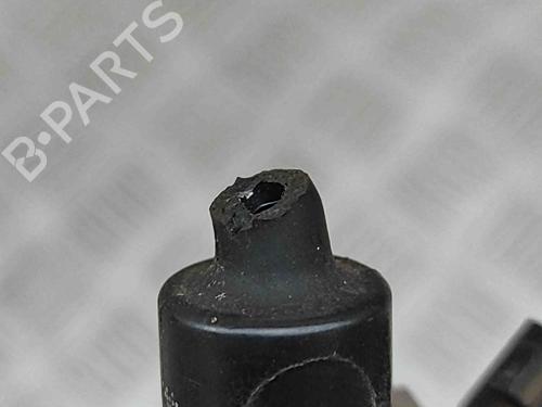 Injector LAND ROVER RANGE ROVER IV (L405) 4.4 SDV8 4x4 | BP29812468M100