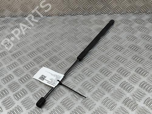 Hood lift support AUDI Q7 (4LB) 4.2 FSI quattro | BP25217326C139 