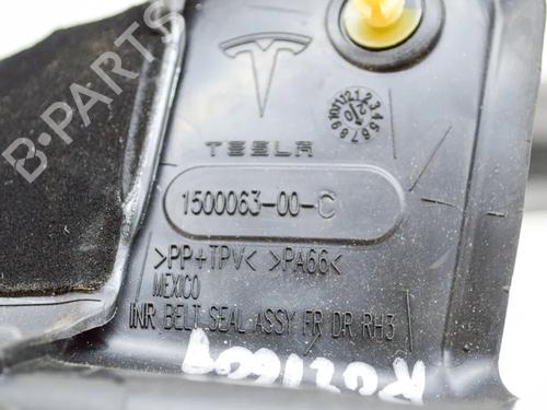 Dørliste TESLA MODEL Y (5YJY) EV Performance All-wheel Drive | BP27752655C150  - Image 6