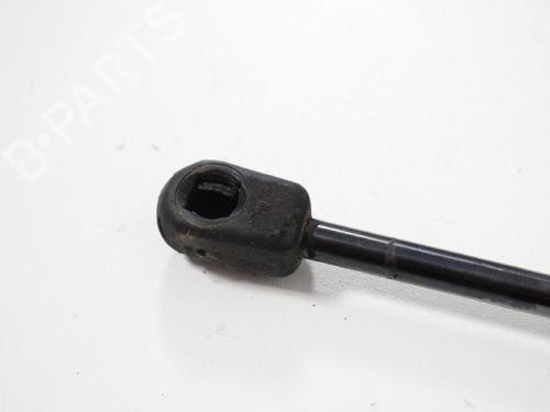 Hood lift support VOLVO XC60 I SUV (156) D5 | BP30256976C139 