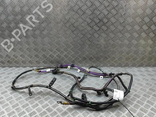 Used Wiring harness Wiring harness AUDI A6 C8 Avant (4A5) RS6 TFSI Mild Hybrid quattro (600 hp) 33549608 33549608
