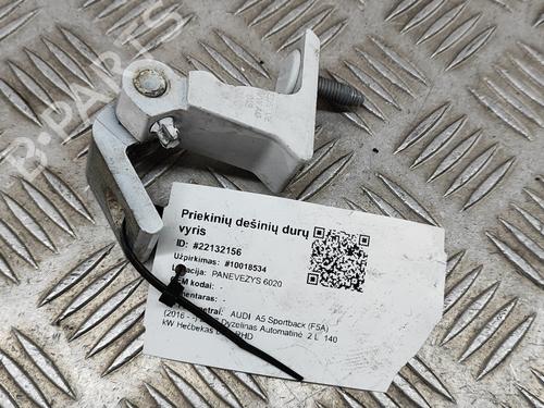 Used Hinge/Door check strap AUDI A5 Sportback (F5A, F5F) 2.0 TDI (190 hp) 16141135
