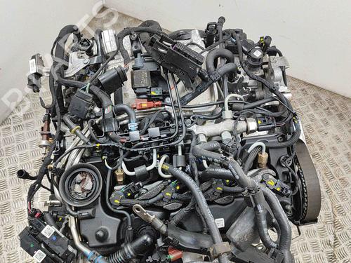 Engine AUDI A5 (F53, F5P) 2.0 TDI | BP19502155M1