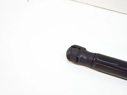 Tailgate lift support LAND ROVER RANGE ROVER EVOQUE (L538) 2.0 D | BP14631570C138 