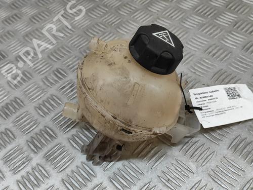 Expansion tank PEUGEOT 3008 II SUV (MC_, MR_, MJ_, M4_) 1.6 BlueHDi 120 | BP25219139C120 