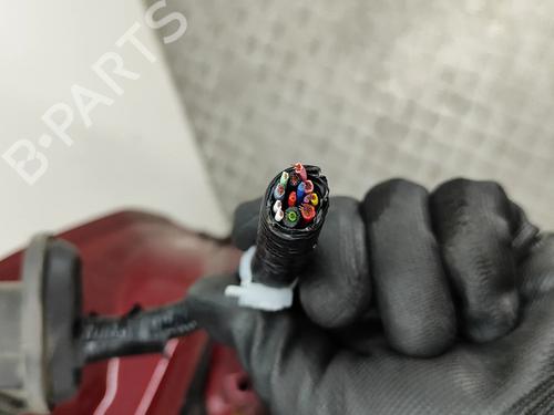 Tailgate NISSAN LEAF (ZE1) Electric | BP30108088C6