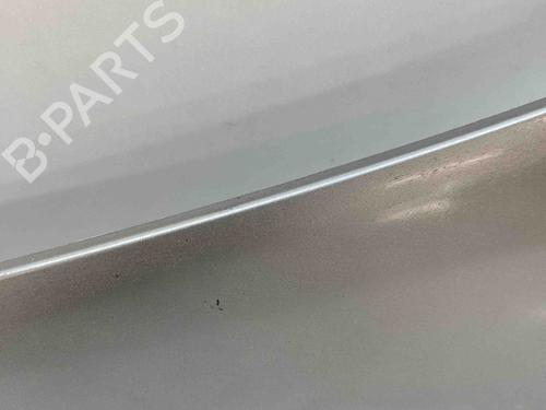 Rear spoiler RENAULT MEGANE CC (EZ0/1_) 1.6 dCi (EZ00) | BP29392084C96 