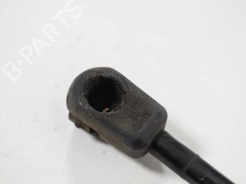 Hood lift support LAND ROVER FREELANDER 2 (L359) 2.2 TD4 4x4 | BP30257107C139 