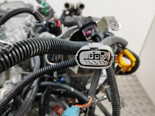 Engine ISUZU D-MAX II (TFR, TFS) 2.5 CRDi 4x4 (TFS86J) | BP37669299M1 - Image 7