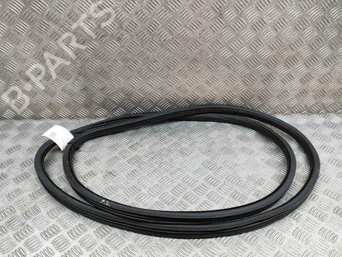 Rubber door seal PORSCHE CAYENNE (92A) 3.0 Diesel | BP16313122C142