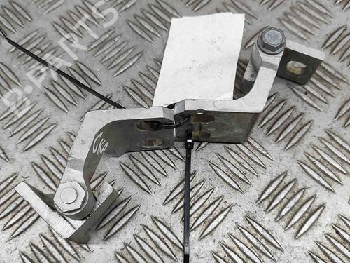 Used Hinge/Door check strap FIAT 500L (351_, 352_) 1.6 D Multijet (199LYD1B) (105 hp) 23247821