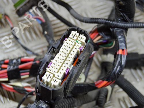 Wiring harness TESLA MODEL S (5YJS) 85 | BP14646857E16 