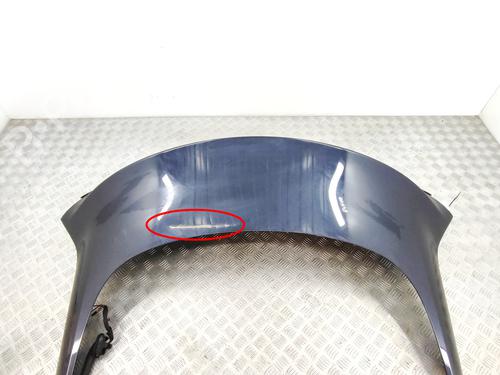 Tailgate TESLA MODEL 3 (5YJ3) EV | BP37444994C6 - Image 4