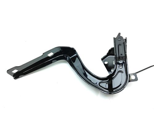 hingedoor-check-strap-tesla-model-3-5yj3-2017-36644382 main image