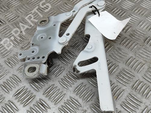Hinge/Door check strap BMW 3 Touring (F31) 335 d xDrive | BP26239879C146