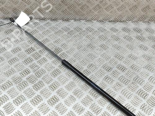 Hood lift support VW GOLF VII (5G1, BQ1, BE1, BE2) e-Golf | BP19284117C139 