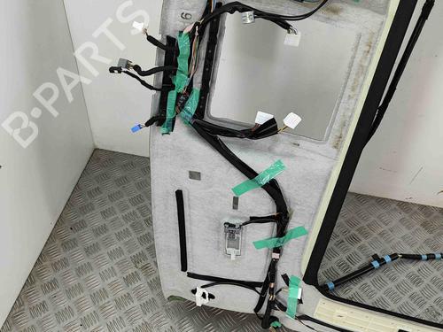 Interior roof LEXUS NX (_Z1_) 300h AWD (AYZ15_, AYZ15R) | BP27787530I12 