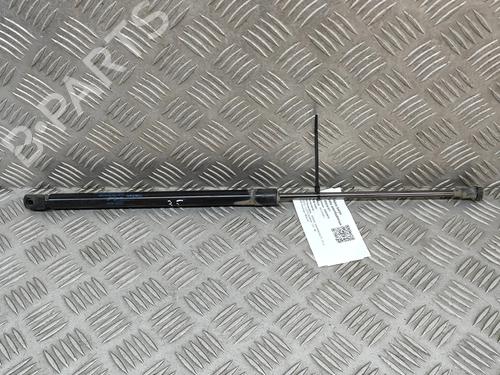 tailgate-lift-support-nissan-qashqai-ii-j11-j11_-2013-24583720 main image