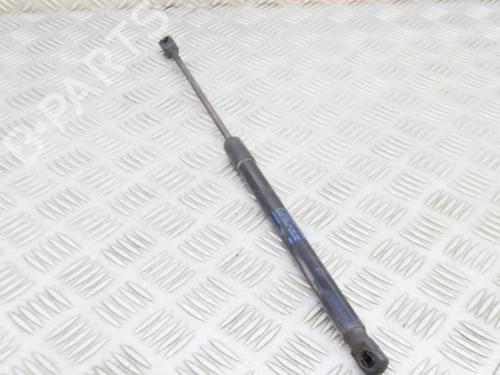 Hood lift support AUDI Q7 (4LB) 3.0 TDI quattro | BP15551493C139 