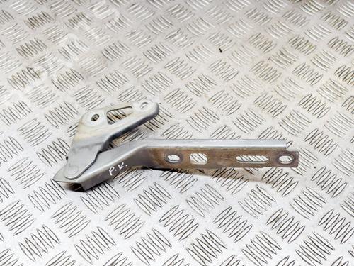 Used Hinge/Door check strap AUDI Q7 (4LB) 4.2 FSI quattro (350 hp) 14634367