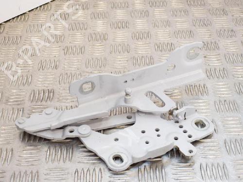 Hinge/Door check strap BMW 1 (F20) M 140 i | BP14662038C146 