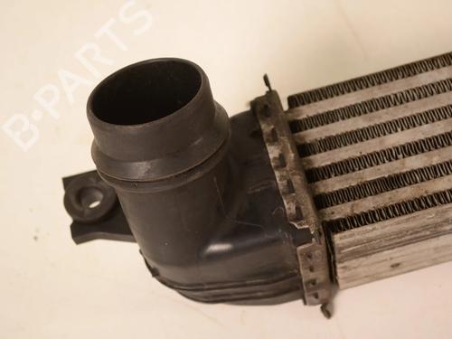 Intercooler MINI MINI COUNTRYMAN (R60) Cooper SD ALL4 | BP30208208M30 