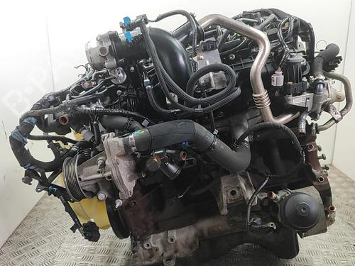 Engine FORD RANGER (TKE) 3.2 TDCi 4x4 | BP35983273M1 - Image 4