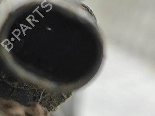 Right rear shock absorber TESLA MODEL S (5YJS) P100D AWD | BP32238875M19 