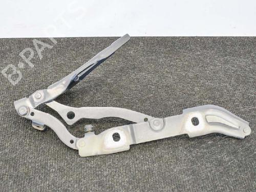 Hinge/Door check strap BMW 3 (E90) 318 i | BP14607589C146 