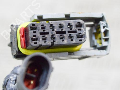 Wiring harness MASERATI QUATTROPORTE VI 3.0 S Q4 | BP14648100E16 