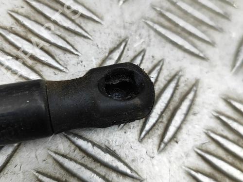 Hood lift support LAND ROVER DISCOVERY V (L462) 3.0 Td6 4x4 | BP30130782C139