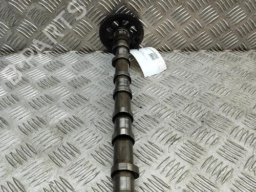 Used Other Other FORD TRANSIT V363 Van (FCD, FDD) 2.2 TDCi RWD (155 hp) 16141787 16141787