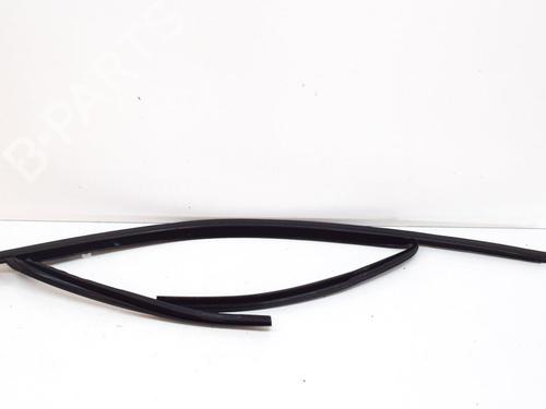 Used Door moulding trim BMW 3 (G20, G80, G28) 320 i (184 hp) 10072784