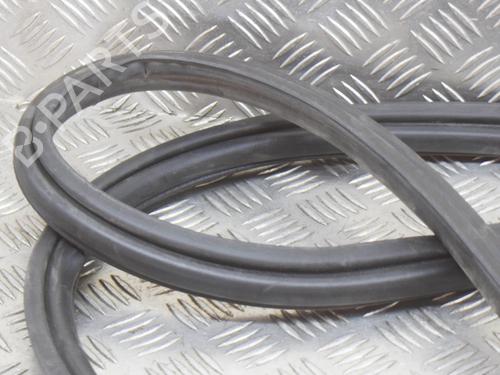 Gummiliste TESLA MODEL 3 (5YJ3) EV Performance AWD | BP27751456C142 