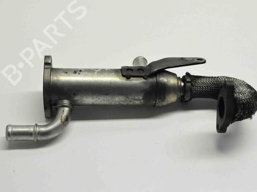 Egr JAGUAR XJ (X350, X358) D 2.7 | BP30231019M69