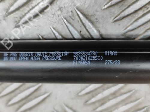 Tailgate lift support PEUGEOT 2008 II (UD_, US_, UY_, UJ_, UR_, UC_) 1.2 PureTech 130 (USHNS, URHNS) | BP28553222C138