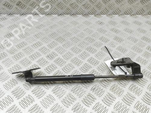 hood-lift-support-tesla-model-3-5yj3-2017-33697819 main image