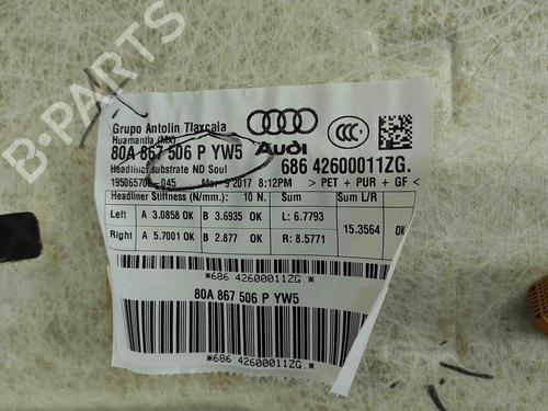 Interior roof AUDI Q5 (FYB, FYG) 2.0 TDI quattro | BP30178025I12 