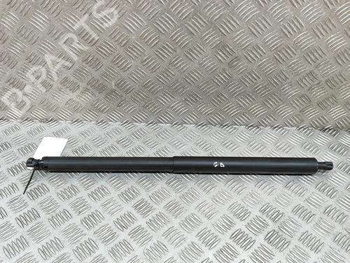 tailgate-lift-support-tesla-model-y-5yjy-2019-33369864 main image