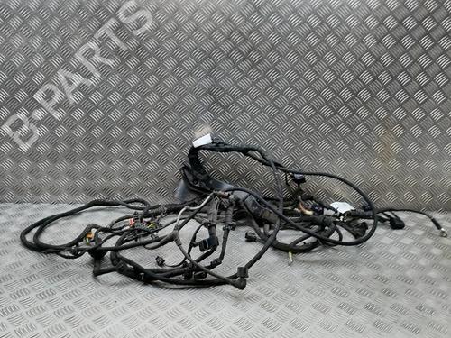 Used Wiring harness SKODA ENYAQ iV SUV (5AZ) 85X (286 hp) 30118110