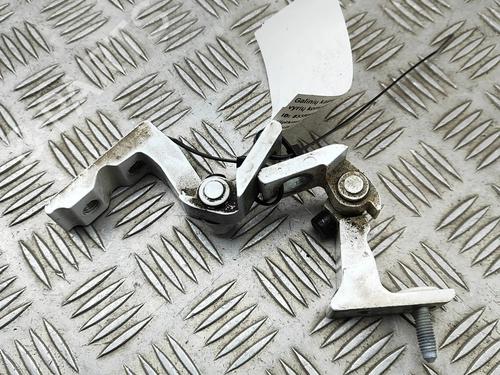 Hinge/Door check strap AUDI A5 Sportback (F5A, F5F) 35 TFSI Mild Hybrid | BP31715494C146