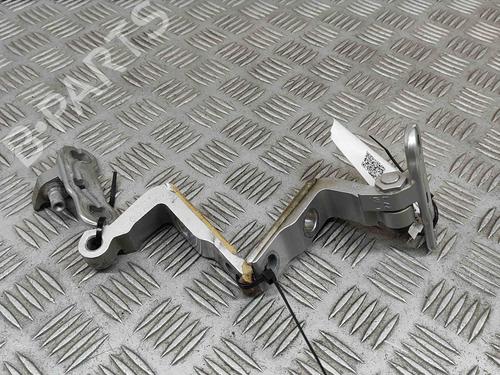 Hinge/Door check strap VOLVO XC90 II (256) T8 Hybrid AWD | BP28553446C146