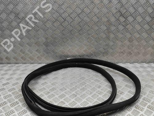 Rubber door seal MERCEDES-BENZ S-CLASS (W221, V221) S 500 4-matic (221.086, 221.186) | BP29510814C142 