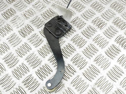 Hinge/Door check strap VW TRANSPORTER T6 Van (SGA, SGH, SHA, SHH) 2.0 TDI | BP29920768C146