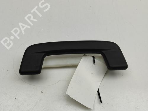 Interior roof handle SKODA ENYAQ iV SUV (5AZ) 85X | BP29731319I35 