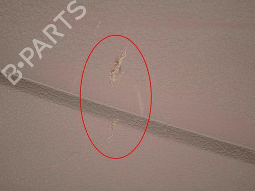 Bekleding voor links VW CRAFTER Platform/Chassis (SZ_) 2.0 TDI FWD (SZB, SZC, SZH, SZI, SZJ, SZK, SZO, SZP, SZS... | BP30215847C58