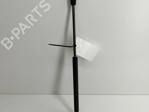 Hood lift support MASERATI QUATTROPORTE VI 3.0 D | BP24818464C139
