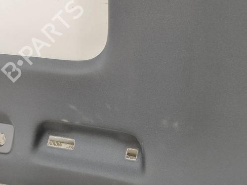 Techo interior AUDI Q8 (4MN, 4MT) 50 TDI Mild Hybrid quattro | BP28436771I12 